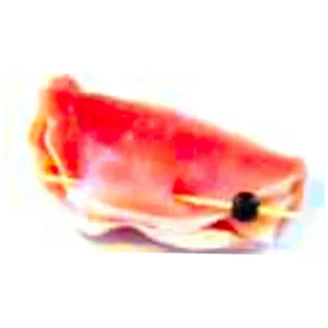Varkenscordon bleu